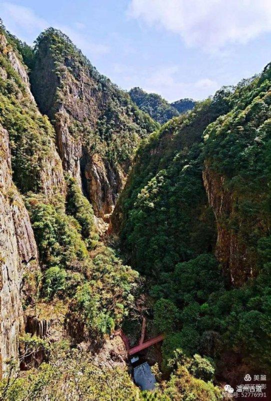 漂亮鹦鹉救援